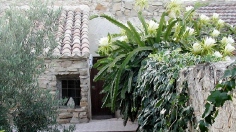 Finca
